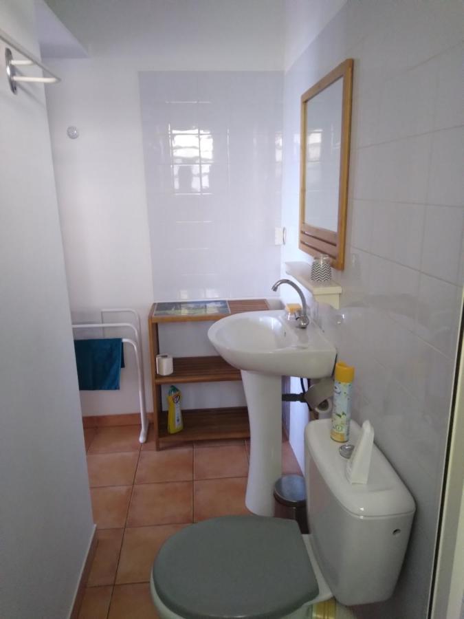 Studio Aux Avirons Pour 2 Personnes, Avec Piscine Les Avirons Exteriör bild